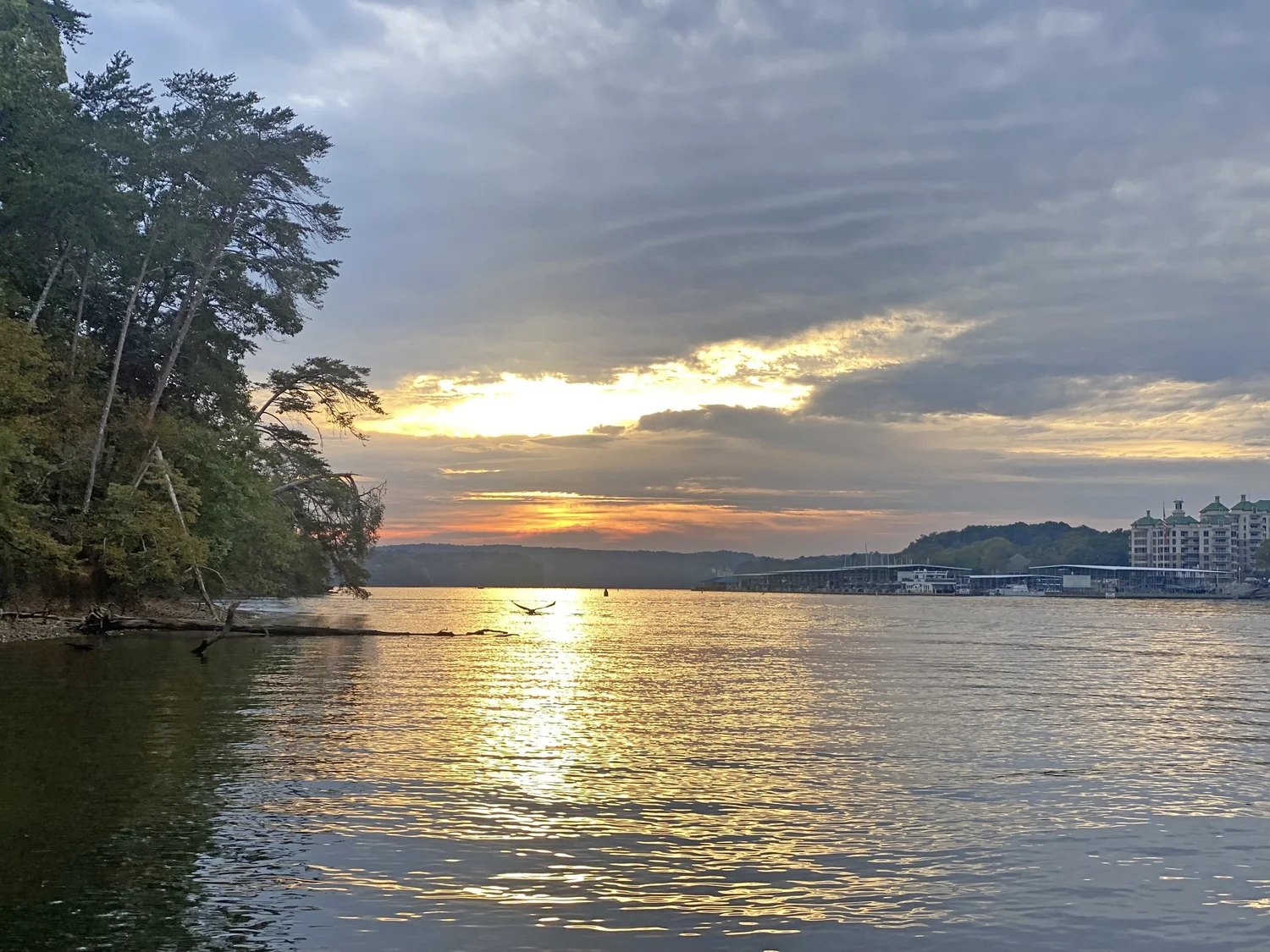 Waterfront lots for sale at The Preserve on Pickwick Lake, starting from $99,900